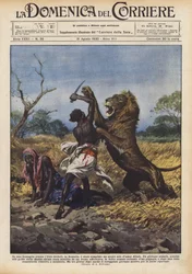 In einem Waldgebiet bei Uebi Scebeli in Somalia wurde eine heroische Tat der kindlichen Liebe vollbracht