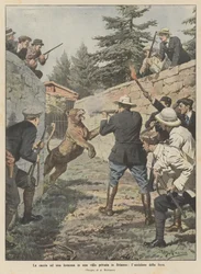 Die Jagd auf eine Löwin in einer Privatvilla in Brianza, die Tötung des Tieres