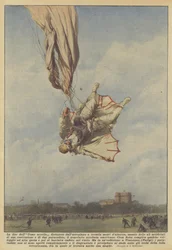 Das Ende des Vogelmanns