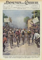 Die Leidenschaft der Krieger