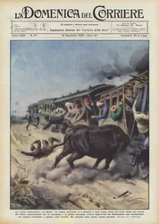 Die romanhafte Realität in Ägypten