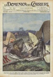 Die Luftüberquerung einer Bestie