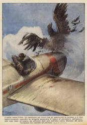 Der Adler gegen die Schraube