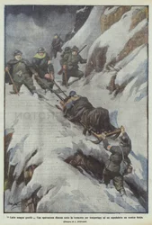 Lateinisches edles Blut