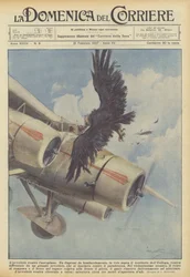 Der Geier gegen das Flugzeug