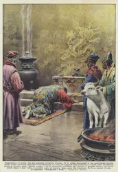 Der Kaiser und das Stierkalb