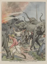 Feuerwehrleute neuer Art, Elefanten löschen ein Feuer in einem brennenden Zug