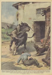 Von Hunden gerettet