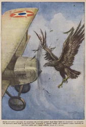 Seltsame Abenteuer am Himmel