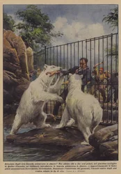 Von Eisbären durch die Gitterstäbe zerrissen!