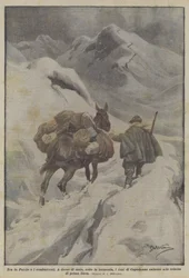 Zwischen Heimat und Kämpfern