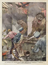 Ein Brand im Bereich der Raubtiere im Zoologischen Garten von Berlin (Farblithografie)