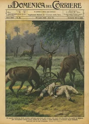 Ein einheimischer Polizist im Hirschgehege des Zoologischen Gartens