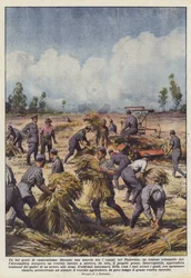 Eine schöne Geste der Kameradschaft