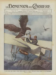 Ein bisher beispielloser Vorfall, französischer Flieger von einem Adler in 2000 Metern Höhe angegriffen