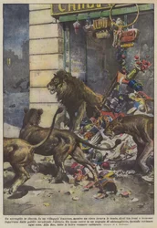 Ein entfesselter Zoo