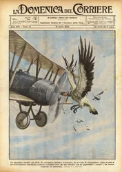 Ein ungewöhnlicher Zusammenstoß am Himmel