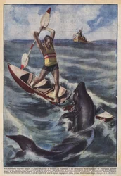 Ein Kampf mit einem Hai