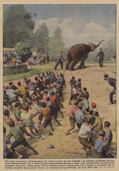 Ein außergewöhnliches Rennen