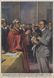 Eine Katze, die in die Geschichte eingehen wird