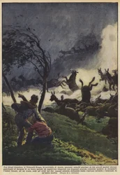 Ein ungewöhnliches Massaker