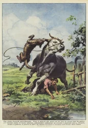 Ein rettender Ohrfeigen