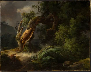 Die Eiche und das Schilfrohr