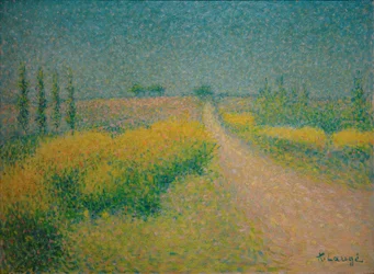 Die Straße mit Ginster