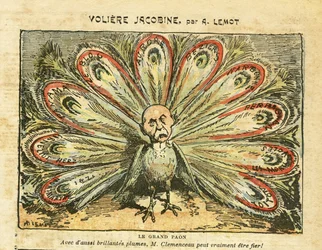 Illustration von Achille Lemot (1846-1909) in Le Pelerin, 26/01/08 - Jakobinische Voliere - Linksblock, Weinkrise, Winzeraufstand, Narbonne, Béziers, Aurore (Tageszeitung) - Georges Clemenceau, Pfau - Animalisierung