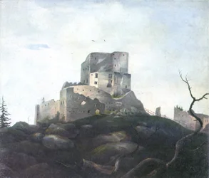 Die Ruine Wittinghausen