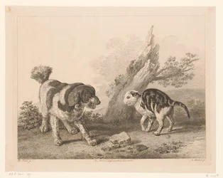 Hund und Katze in Kampfhaltung (Tiere nach Gemälden holländischer Meister)
