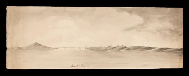 Monte Video aus dem Westindien, Nordamerika und Borneo Sammelalbum