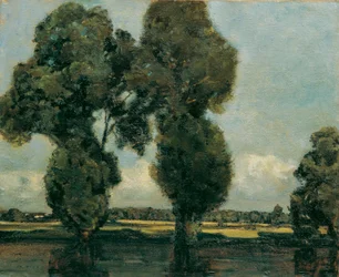 Silberpappeln