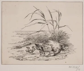 Die getötete Ente