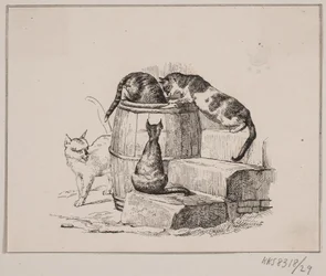 Die Katzen