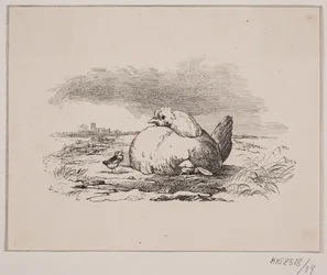Die Küken