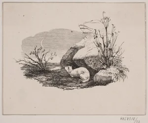 Die Katze