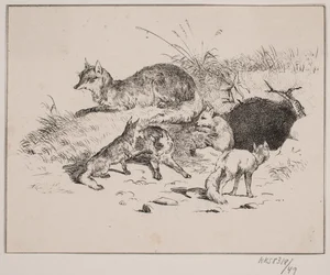 Der Fuchs