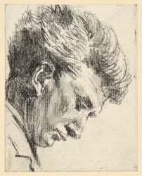 Gesichtsprofil eines herabblickenden Mannes