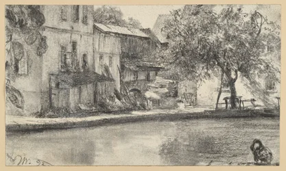 Rückseite einer Häuserreihe und Baum am Wasser