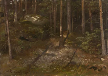 Waldstudie
