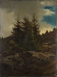 Landschaft bei Nes im Hallingdal