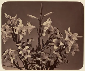 [Blumen]