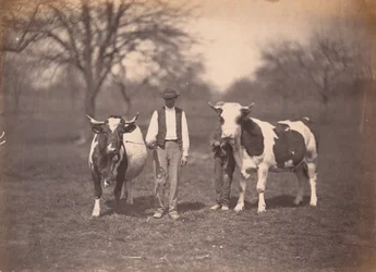 Landschaft, um 1864