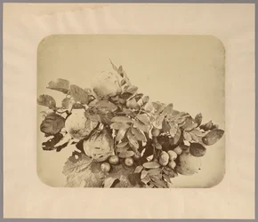 Stillleben mit Quitten und Beeren
