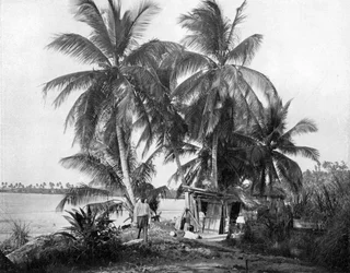 Auf dem Weg zum Blue Hole, Port Antonio, Jamaika, ca. 1905