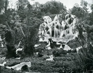 Roaring River Falls, Jamaika, um 1905