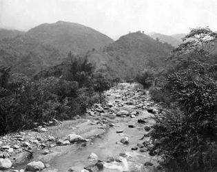 Der Wag-Fluss, Castleton, Jamaika, ca. 1905