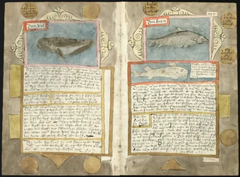 Adriaen Coenens Visboeck - KB 78 E 54 - Folios 210v (links) und 211r (rechts)