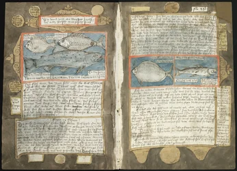 Adriaen Coenens Visboeck - KB 78 E 54 - Folios 339v (links) und 340r (rechts)